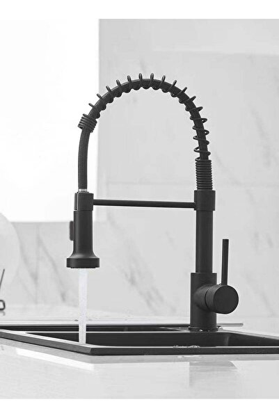 Generic Made in Germany Kitchen Faucet with Pull Down Sprayer Stainless Steel Single Handle Black