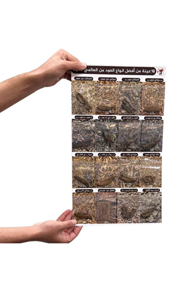 Oud 16 Samples of the Best Types