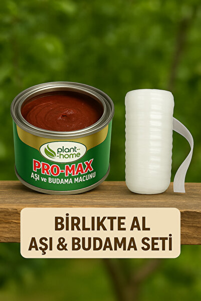 plant-home Aşı ve Budama Macunu + Silikonlu Aşı Bandı Seti – Profesyonel Aşı ...