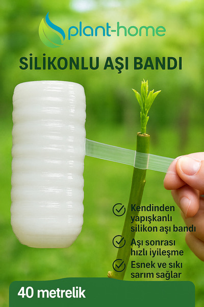 plant-home Şeffaf Silikon Aşı Bandı 3’lü Set – Hızlı İyileştirme Bandı