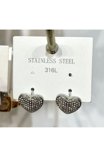 stainles steel 316 L Steel Stone Heart Earrings