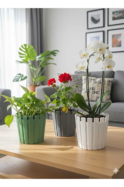 polivahome Akasya Saksı2 Litre 17 cm Plastik Drenaj Izgaralı Bitki Çiçek Saks...