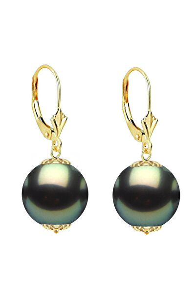 Kaskadda 10-11 mm Tahitian Pearl Earrings and 14K Yellow Gold, Round Shape | ...