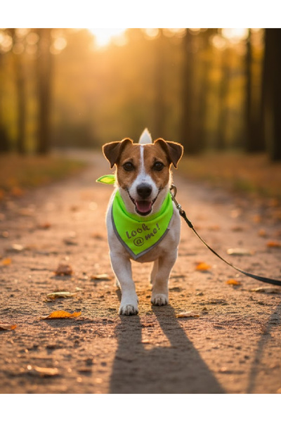 Evendi Dog Bandana, Neon Green