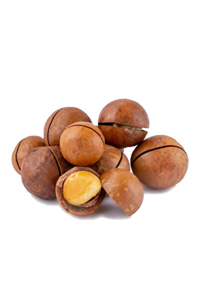 shuyukh coffee مكاديميا محمصه بالقشر نكهة الفانيلا الجميل 500غ