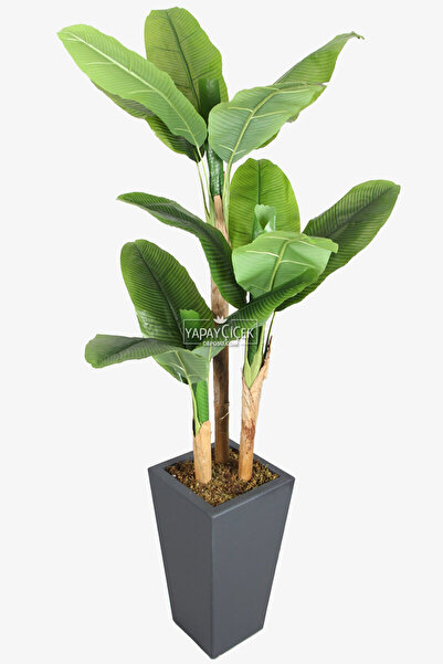 Yapay Çiçek Deposu Antrasit Saksıda 13 Yapraklı Yapay Muz Ağacı 195 cm