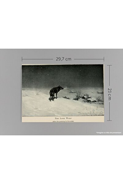 VreauPoster Poster A4 Lup Singuratic Iarna, Alfred von Wierusz-Kowalski, Tabl...