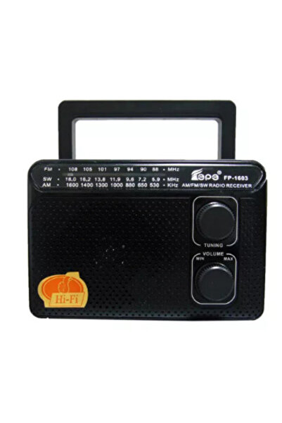 OEM Radio portabil ROTOSONIC FP-1603 cu 3 benzi
