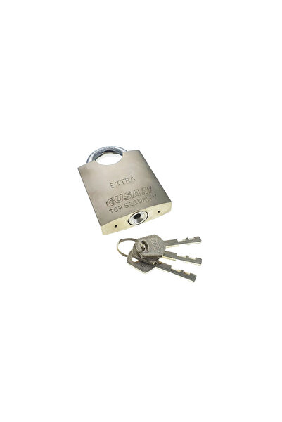 flores Gusam Safe-Lock metal padlock, with Anti-Burglary protection, 60mm, 41...
