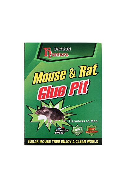 bzstore Set of 10 Self-Adhesive Mouse Trap, 19 x 13 cm, Green/Yellow