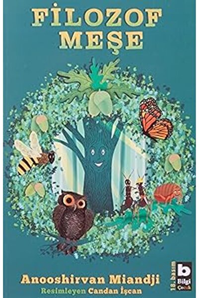 Alfa Yayınları Filozof Meşe + İnsan Vücudu Tiyatrosu + Küçük Mantar + Kolay P...