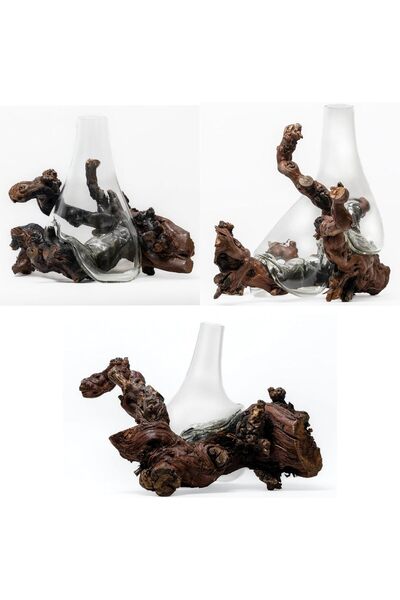 Generic Luxury Glass and Natural Grape Wood Vase – Handcrafted Decorative Piece