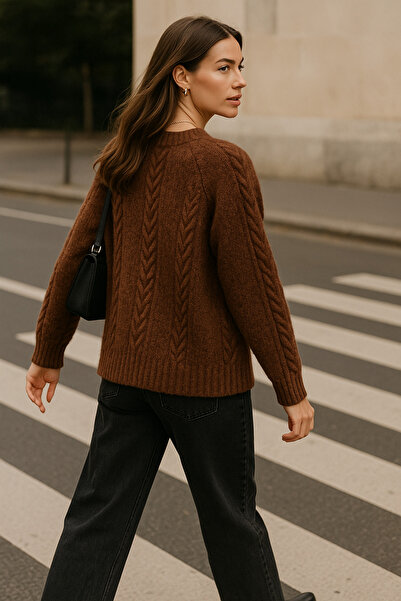 Rich Women's Brown Knitted Patterned Long Sleeve Soft Textured Crew Neck Knitwear Sweater