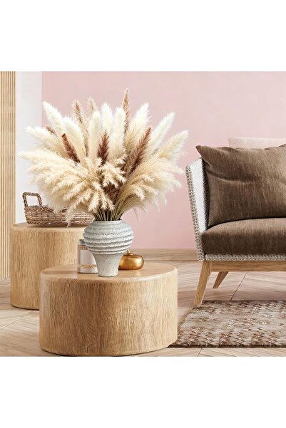 MirageBotanics مزهرية سيراميك بيج لعشب البامباس والزهور والنباتات (ستاندر)