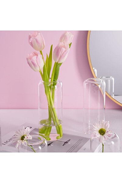 ZENS Glass Bud Vase Set of 6, Modern Hand-Blown Small Bud Vases, Clear Cylinder