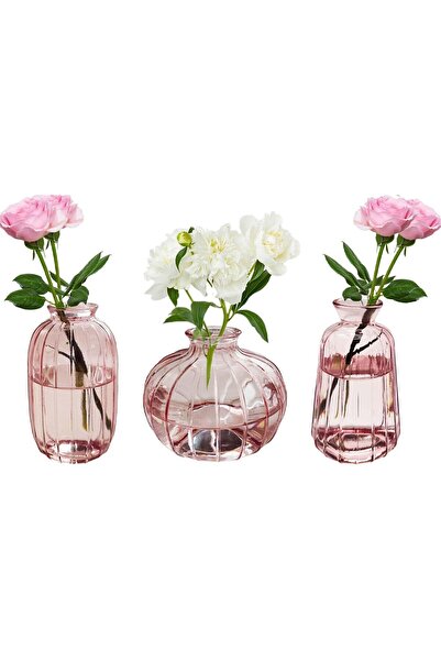 Generic Glass Flower Vases Set of 3, Pink Mini Decorative Bottles, Modern Table Centrepiece
