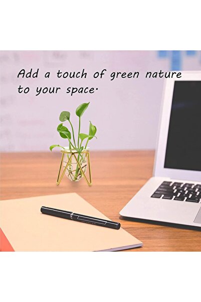 TERRIFI Glass Vase with Metal Stand - Gold Geometric Small Hydroponic Terrarium Vase