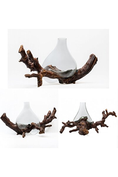 Generic Luxury Glass and Natural Grape Wood Vase – Handcrafted Decorative Piece