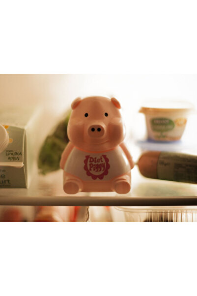 OEM Diet Pig for Fridge with Sound