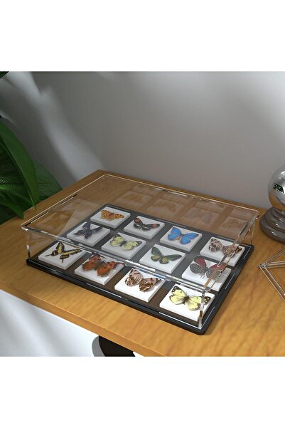 Slasa Low-Profile Acrylic Display Case 26.9×20.3×6.1cm for Miniatures