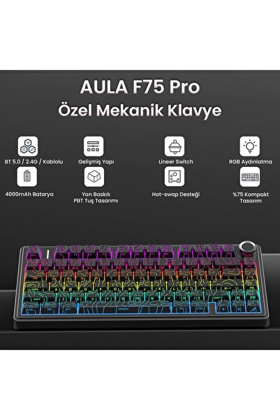 Aula F75 Mekanik RGB TKL Seiya Switch Kablosuz Makrolu Hot Swap Klavye Desenli Siyah