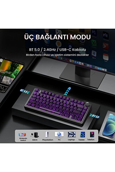 Aula F75 Mekanik RGB TKL Seiya Switch Kablosuz Makrolu Hot Swap Klavye Desenli Siyah