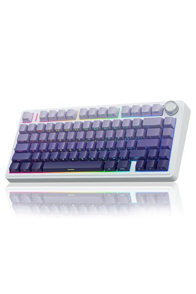 Aula F75 Mekanik RGB TKL Seiya Switch Kablosuz Makrolu Hot Swap Klavye Gradyan Mor
