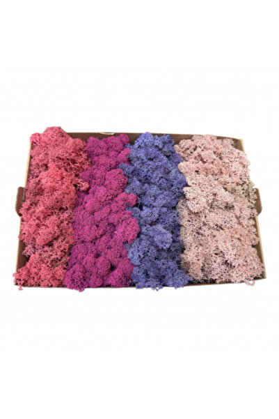 FantezieCuLicheni Mușchi stabilizat, Polar, 500gr, 4 culori roz-violet