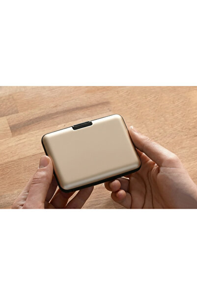 Boldy Suport pentru carduri din aluminiu - Suport pentru carduri cu capac - Suport pentru carduri de călătorie - Suport pentru cărți de vizită cu capac - Organizator de carduri