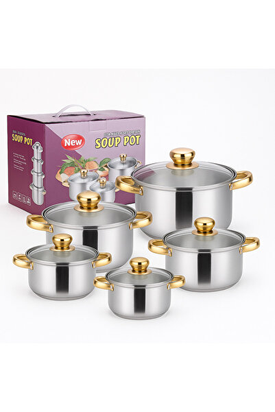 OEM Set of 10 Stainless Steel Pots G 14 with Stainless Steel Lids, 16–24 cm, Glossy Design