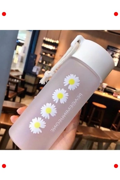 markentegra 600 ml Daisy Patterned Transparent Flask