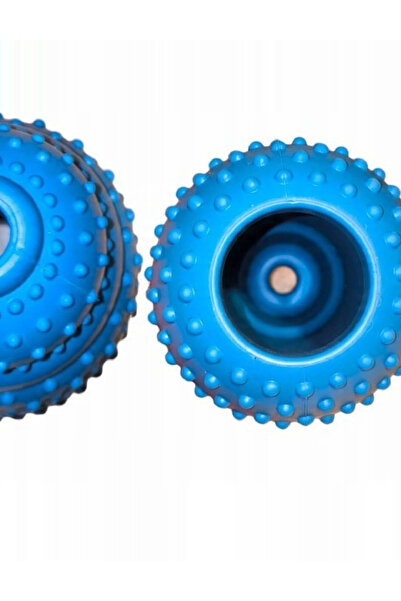 Evendi Dog toy, Blue