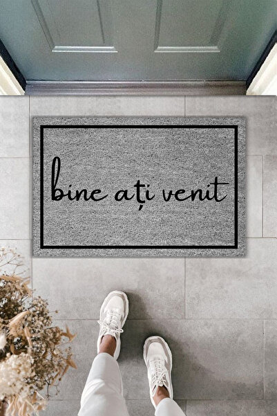 Dormot Modern Digital Printing Framed Doormat with the Text'Bine Ați Venit' (Welcome)