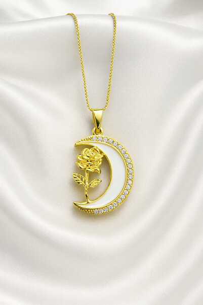 A-STİL TAKI Women's Gift Box Zircon Stone Moon Rose Steel Necklace