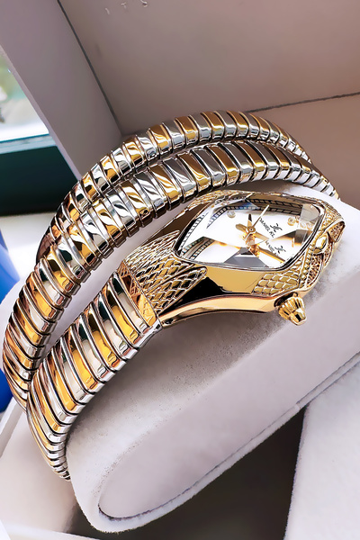 Daniel Klein Snake Watch Model - Women's Wristwatch, Waterproof Gold Silver Steel Band - Bracelet Gift Dkby2053C4