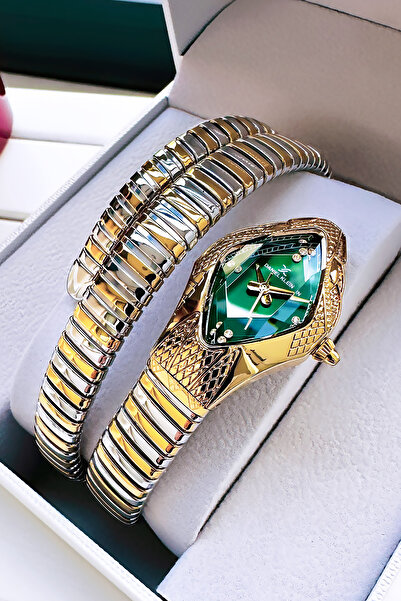 Daniel Klein Snake Watch Model - Women's Wristwatch, Waterproof Gold Silver Steel Band - Bracelet Gift Dkby2053C3