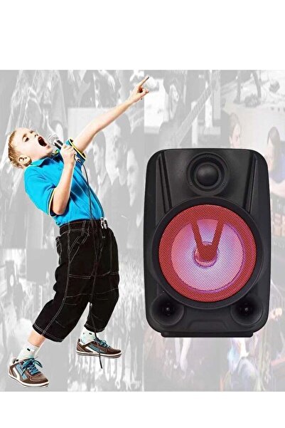 The comprehensive house Bluetooth Speaker with Radio and Microphone