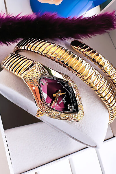 Daniel Klein Snake Watch Model - Women's Wristwatch, Waterproof Gold Color Steel Band - Bracelet Gift Dkby2053C2