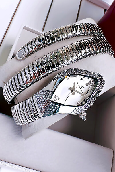 Daniel Klein Snake Watch Model - Women's Wristwatch, Waterproof Silver Color Steel Band - Bracelet Gift Dkby2053C5