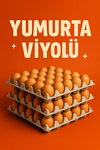 Kalite Meraklıları 20 LBS YUMURTA VİYOLÜ NATUREL RENK 30'LU (100 ADET) yumurta kutusu pakedi kartonu