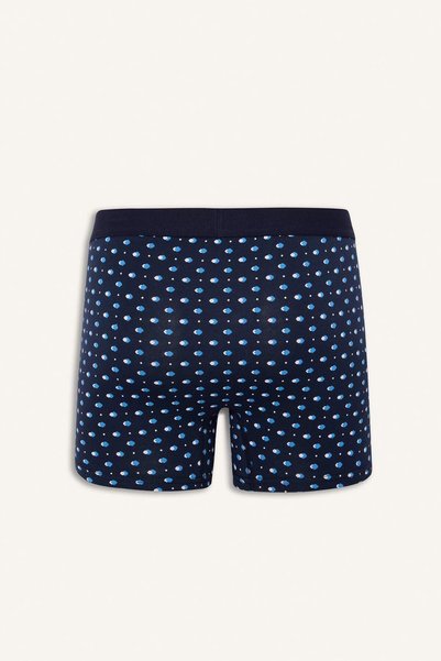 DeFacto Regular Fit Polka Dot 3-Piece Boxer G3840Ax25Wn