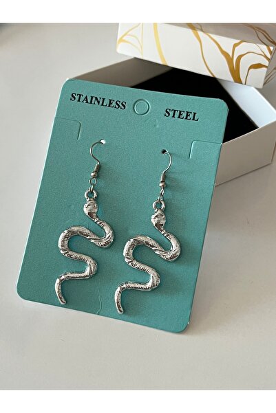 H&T acsessories Special Design Silver Earrings with Snake Figure
