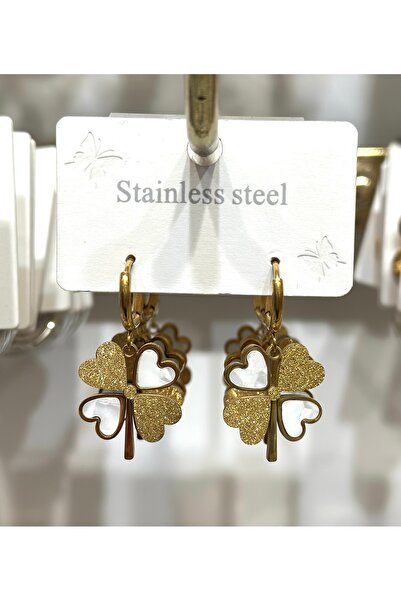 stainles steel Stainless Steel Irresistible Clover Earrings