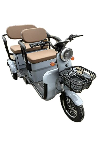 Flippy Electric Tricycle V6, Saige, No License, Two Seats, 1800W Motor, 60km Range, Gray