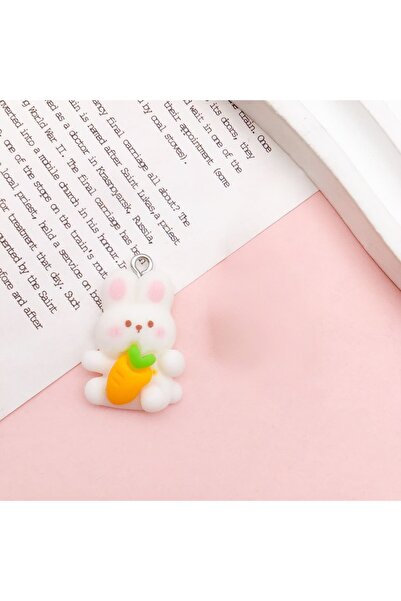 HYPERSOFT Tüm Lightning Telefonlarla Uyumlu Şarj Soketini Toz Ve Kirlerden Ko...