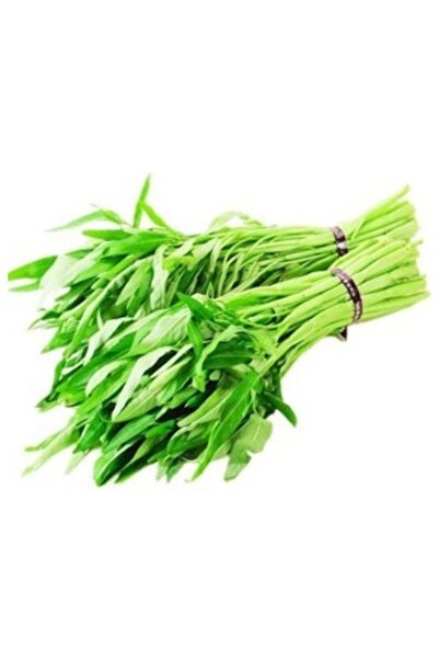 Köy Tohumları 10 Adet Tohum Yabani Doğal Şifalı Çiriş Otu Tohumu Haza Hasat T...