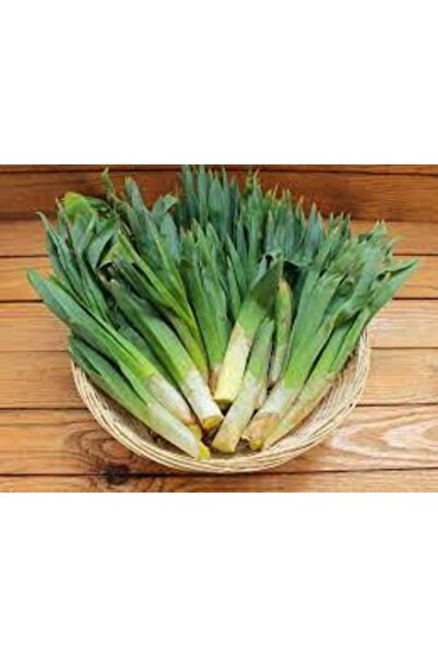 Köy Tohumları 20 Adet Tohum Nadir Bulunan Yabani Çiriş Otu Tohumu Organik Doğ...