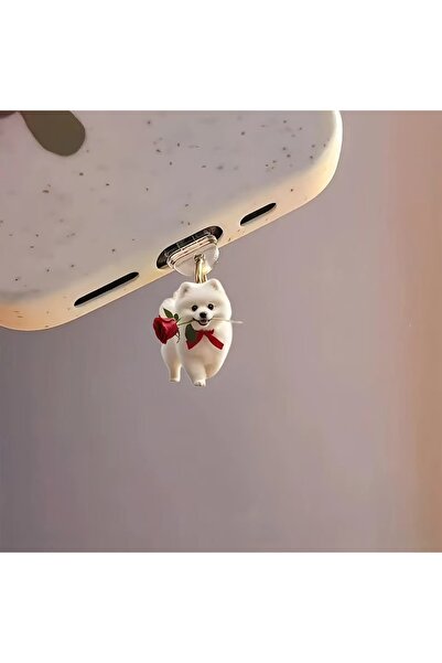 HYPERSOFT Tüm Type-C Telefonlarla Uyumlu Şarj Soketini Toz Ve Kirlerden Koruyan Telefon Charmı