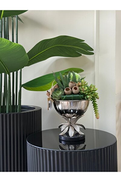 HERA DEKOR İTHAL YAPRAK DETAYLI SAKSI SUKULENT ARANJMANI