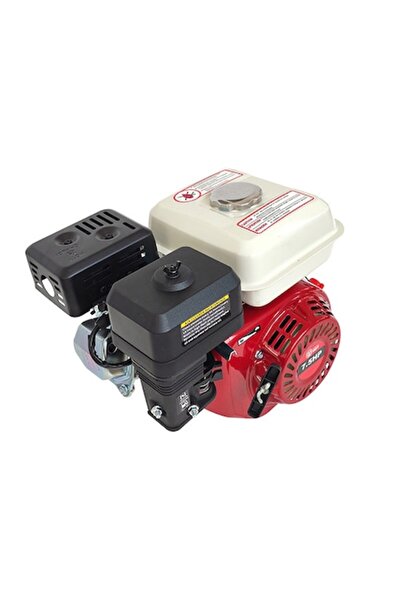 Campion Professional gasoline engine 7.5HP GTX-200, 4-stroke OHV, double pulley, 3.6L tank, 3600RPM